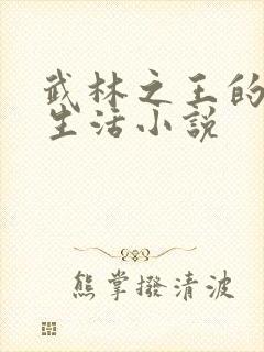 武林之王的退隐生活小说