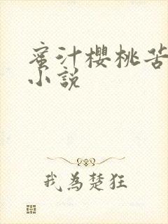 蜜汁樱桃苦咖啡小说