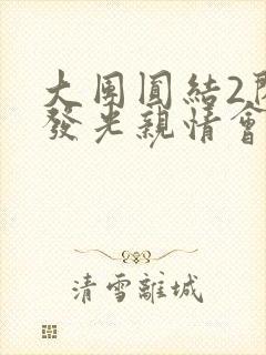 大团圆结2闪闪发光亲情会