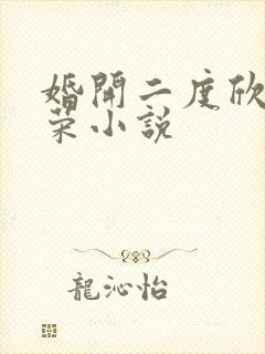 婚开二度欣欣向荣小说