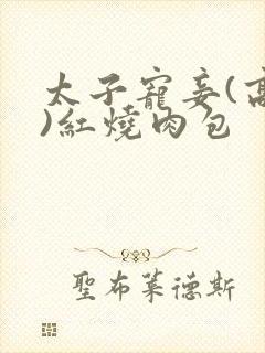 太子宠妾(高肉)红烧肉包