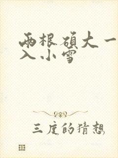 两根硕大一起挤入小雪