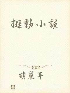 挺动小说