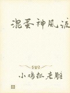 混蛋神风流记