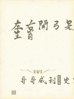 左右开弓是什么生肖