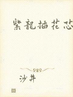 紫龙插花芯方正