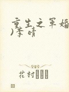 重生之军婚(h)李晴