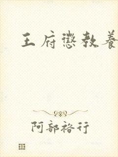 王府惩教养日常