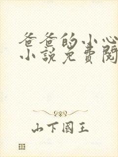 爸爸的小心肝儿小说免费阅读