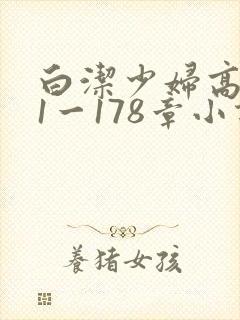 白洁少妇高义第1一178章小说