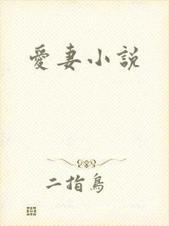 爱妻小说