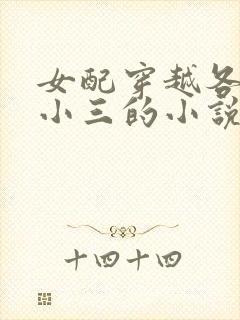 女配穿越各个做小三的小说