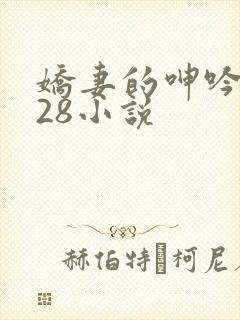 娇妻的呻吟1—28小说