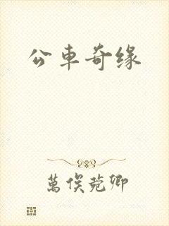 公车奇缘