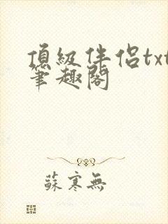 顶级伴侣txt笔趣阁