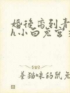 婚后脔到青梅哭h小白兔宫交h