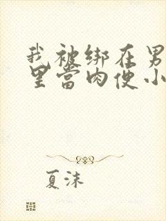 我被绑在男公厕里当肉便小说