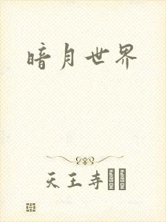 暗月世界