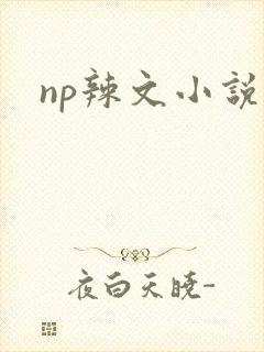 np辣文小说