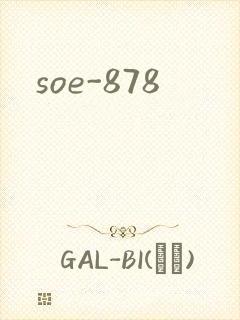 soe-878