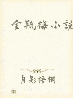 金瓶梅小说在线