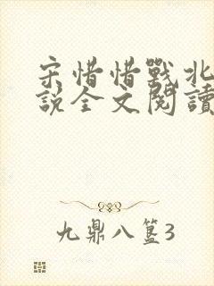 宋惜惜战北望小说全文阅读