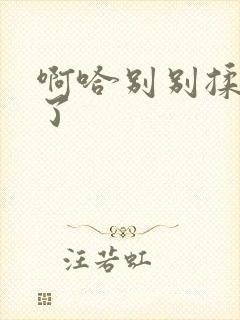 啊哈别别揉那处了