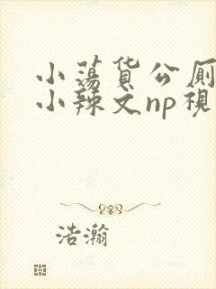 小荡货公厕h文小辣文np视频