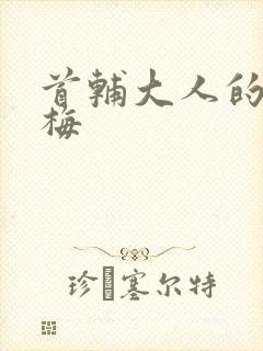 首辅大人的小青梅