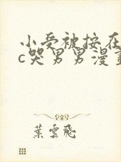 小受被按在墙上c哭男男漫画