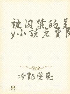 被囚禁的美人by小说免费阅读