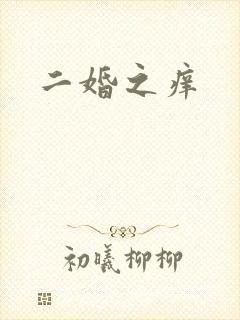 二婚之痒