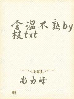 含温不熟by词枝txt