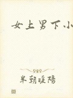 女上男下小说