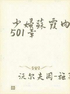 少妇苏霞肉欲第501章