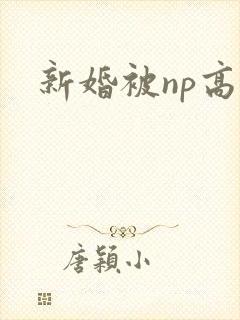 新婚被np高h