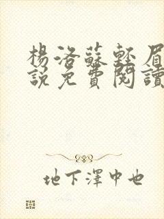 杨洛苏轻眉笔小说免费阅读