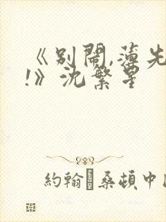 《别闹,薄先生!》沈繁星