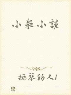 小米小说
