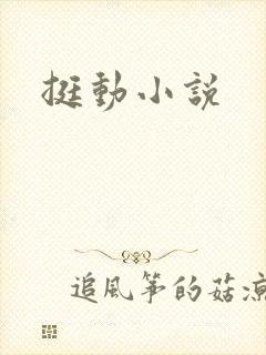 挺动小说