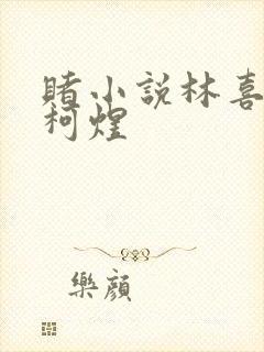 赌小说林喜朝和柯煜