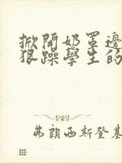 掀开奶罩边躁狠狠躁学生的小文字