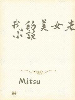 我的美女老板 小说