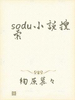 sodu小说搜索