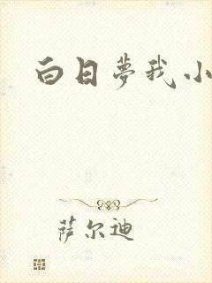白日梦我小说