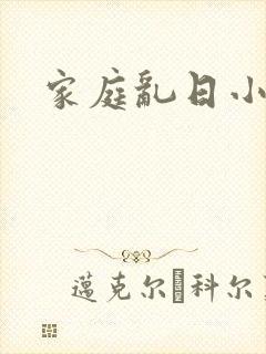 家庭乱日小说