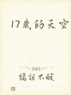 17岁的天空