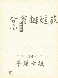 公翁挺进苏玥的小泬