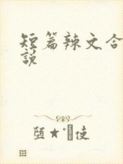 短篇辣文合集小说