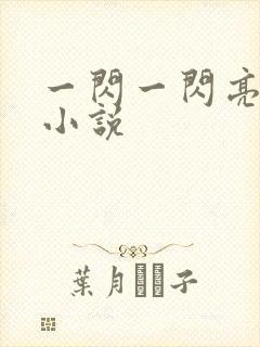 一闪一闪亮星星小说